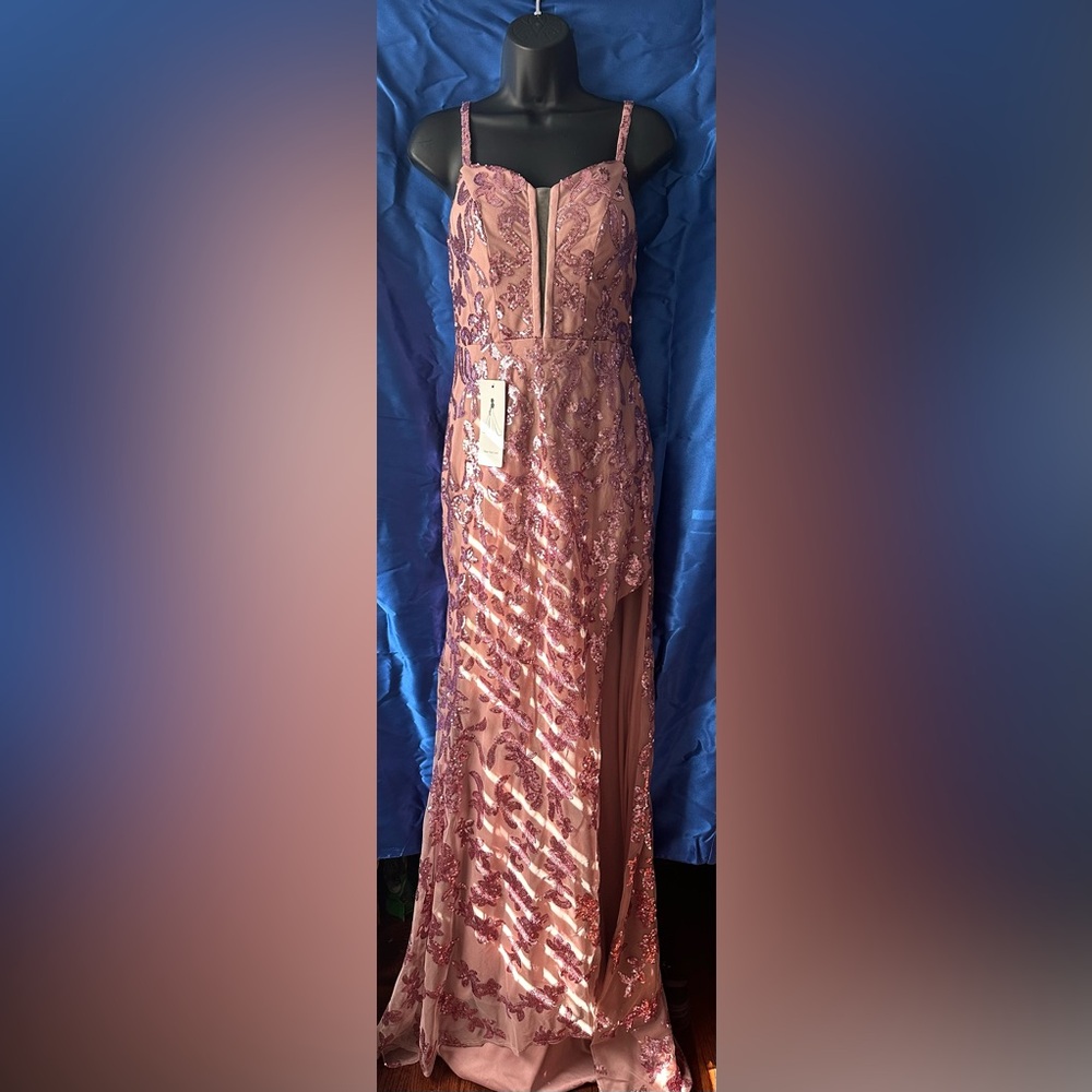 NWT Pink Sequin Dress W/Train